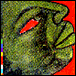 Majurugenta