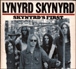 Skynyrds first
