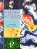 Le cerveau dictionnaire encyclopédique
