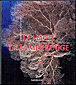 La magie de la Mer Rouge