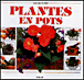 Plantes en pots