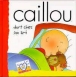 Caillou dort chez un ami