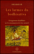 Les larmes du Bodhisattva