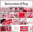 DECLARATION OF FUZZ
