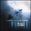 A gothic acoustic tribute