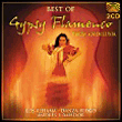 Best of gypsy flamenco : Andalousie