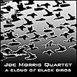 A cloud of black birds