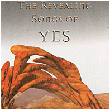Tribute to Yes
