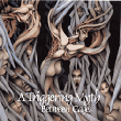 Between cages