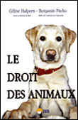 Le droit des animaux