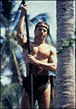 Tarzan - Saison 3