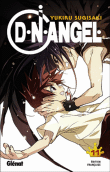DN Angel
