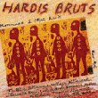 Hardis bruts