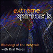 Extreme spirituals