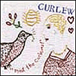 Meet the curlews