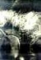Le rythme primordial et souverain