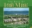 The best of Irish music