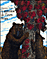 L'automne de l'ours brun