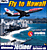 Ubisoft Fly To Hawaii