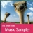 Rough guide to music sampler