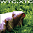 WTC.XTC