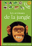 Animaux de la jungle_0