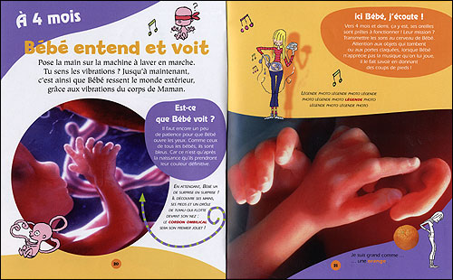 9 Mois Dans Le Ventre De Maman Broche Yves Calarnou Natacha Scheidhauer Hachette Fillippachi Natacha Fradin Achat Livre Fnac 9 Mois Dans Le Ventre De Maman Broche Yves Calarnou Natacha Scheidhauer Hachette Fillippachi Natacha Fradin Achat Livre Fnac