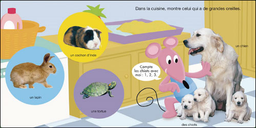 ② livre les animaux de la maison et du jardin 6-8 ans — Livres