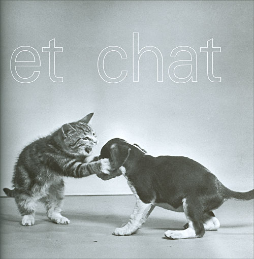 Chat Mania Relie Collectif Achat Livre Fnac