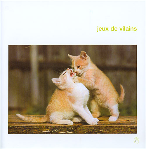 Chat Mania Relie Collectif Achat Livre Fnac