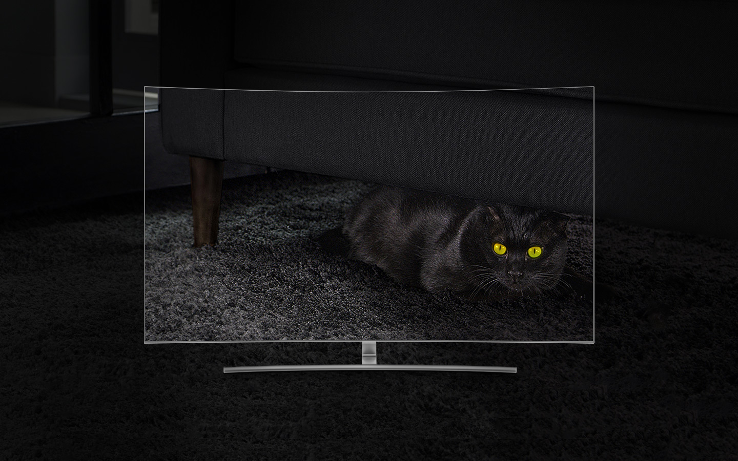 TV QLED Curva vista de frente e o ecrã mostra um gato preto escondido no escuro, debaixo do sofá numa sala de estar. Quanto mais nos aproximamos dos 1500 nits, melhor vemos o gato, apesar de ao início apenas conseguirmos distinguir os seus olhos.